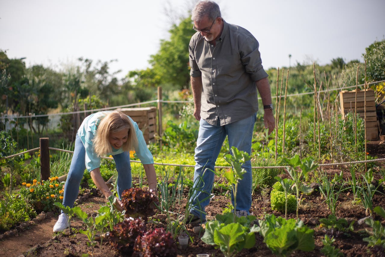 inflation-proof retirement 